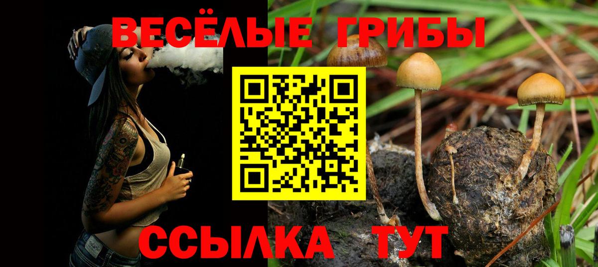 Псилоцибиновые грибы мухоморы Луховицы