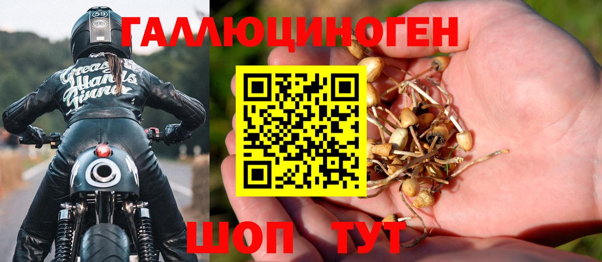 Луховицы  Псилоцибиновые грибы Cubensis  Вход с VPN 